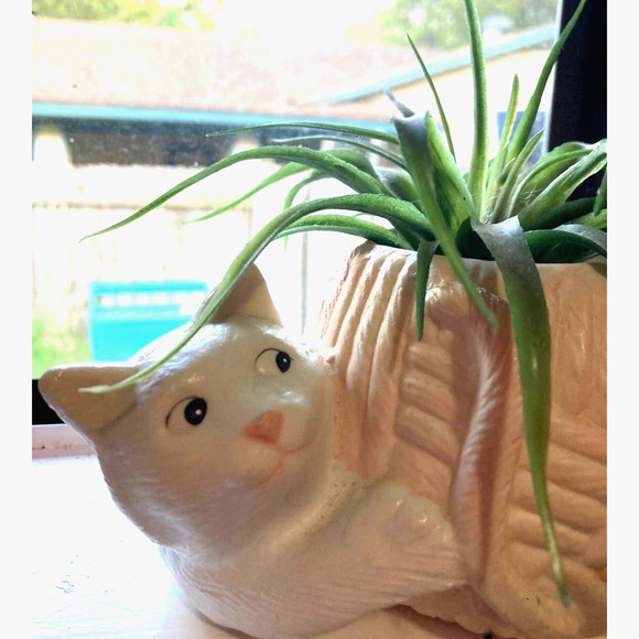 Vintage 80s CAT & Yarn Plant Holder / Succulent Planter / Kitty Trinket - Picture 3 of 8
